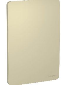 Placa Cega 4X2 Horizon Gold Orion - Schneider.