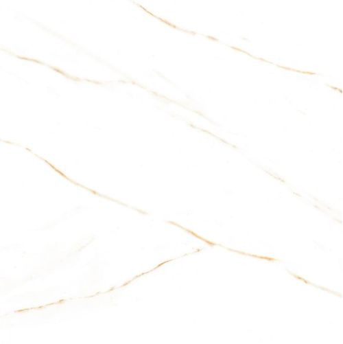 Porcelanato Calacatta Gold 58x58 Polido - Tecnogres