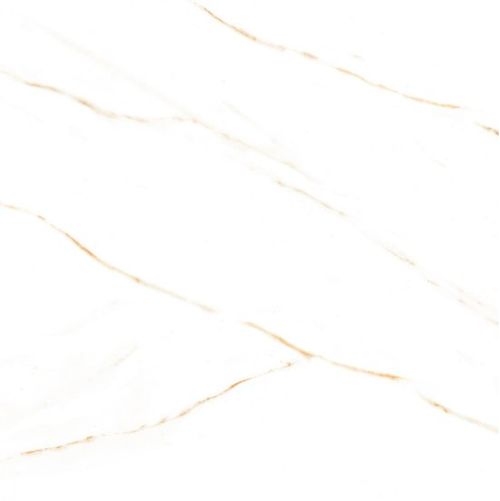 Porcelanato Calacatta Gold 58x58 Polido - Tecnogres